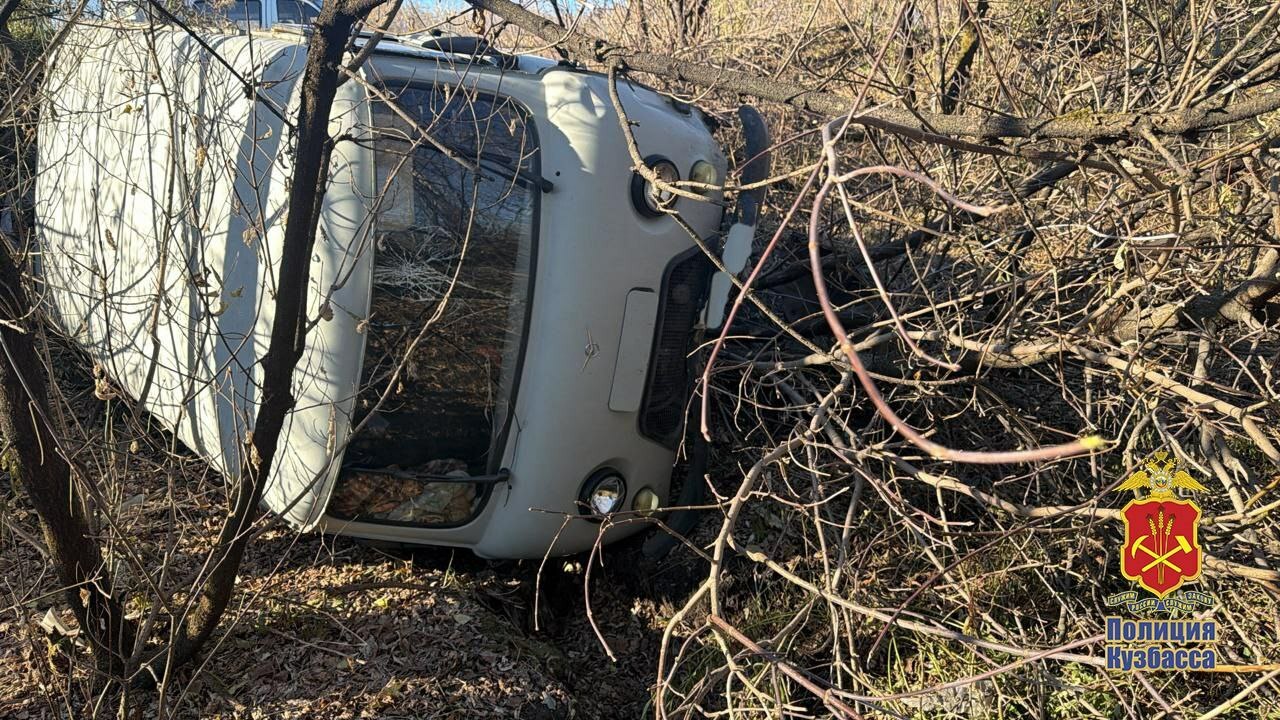 В Междуреченске приезжий после ночного клуба угнал машину и попал на ней в ДТП В Междуреченске полиция задержала жителя Иркутс...