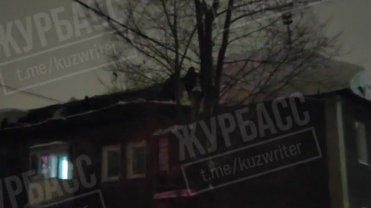 7 февраля в средствах массовой информации и соц...