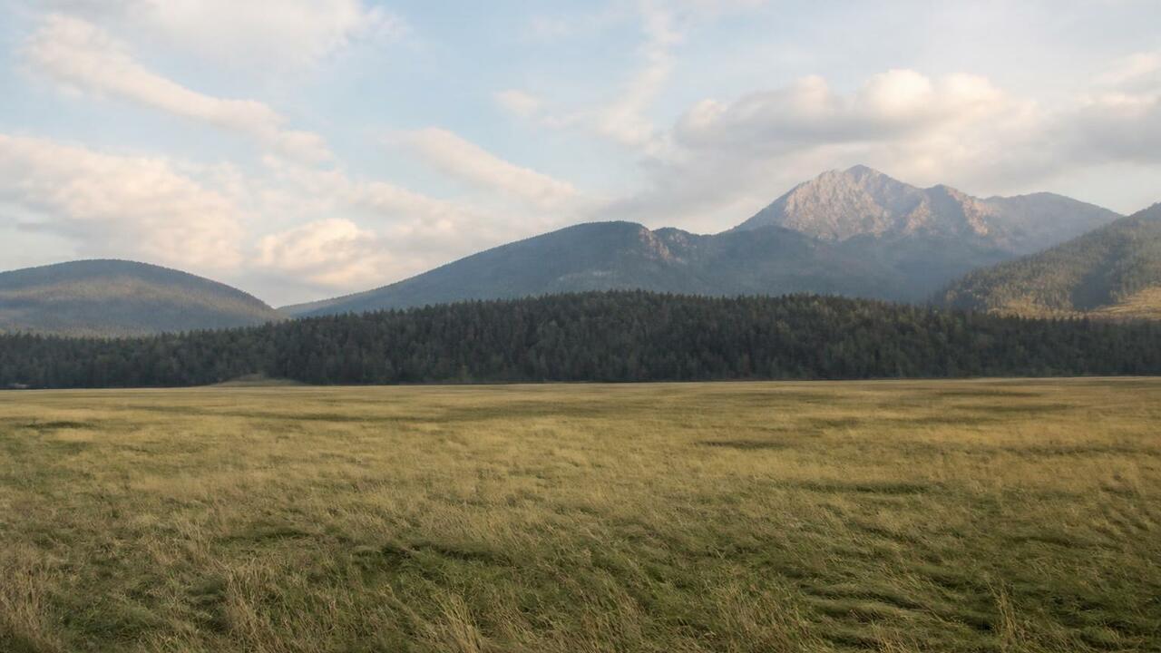 Власти Новокузнецка выставили на торги огромный...