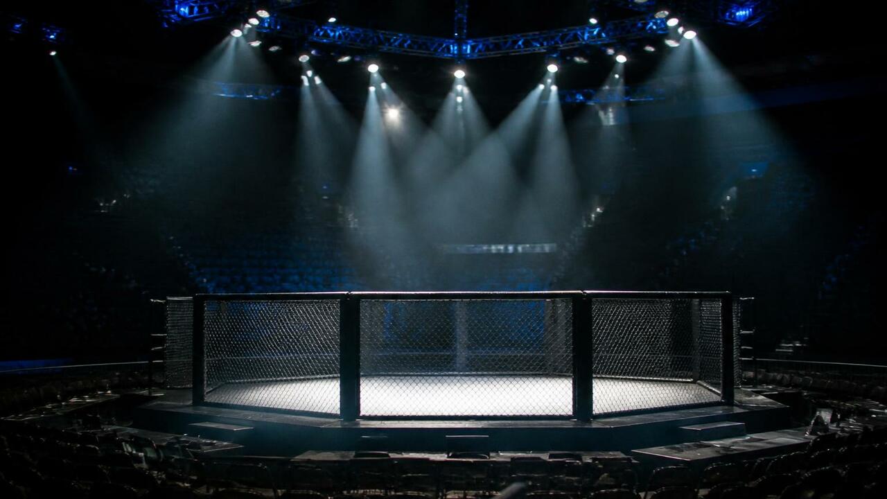 Итоги турнира UFC Noche 4: Сильва задушил Дельг...