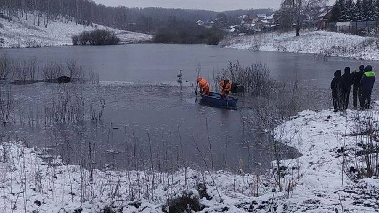 На озеро Кедровка приземлился лебедь. Об этом с...