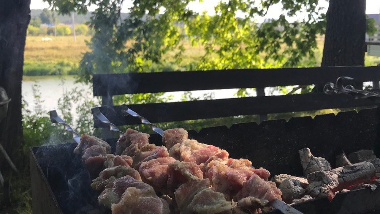 Советский шашлык по ГОСТу: вкуснее маринада для мяса не существует — классический рецепт времен СССР Забудьте о сложных рецептах маринадов!