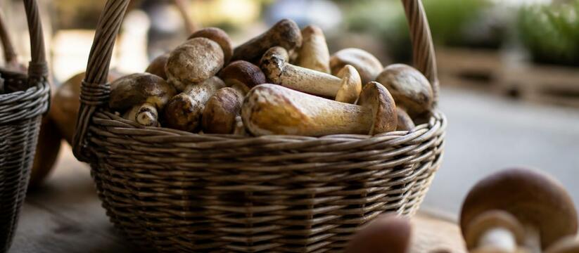 В Кемерове на уличных рынках начался грибной се...