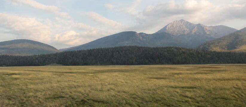 Власти Новокузнецка выставили на торги огромный...