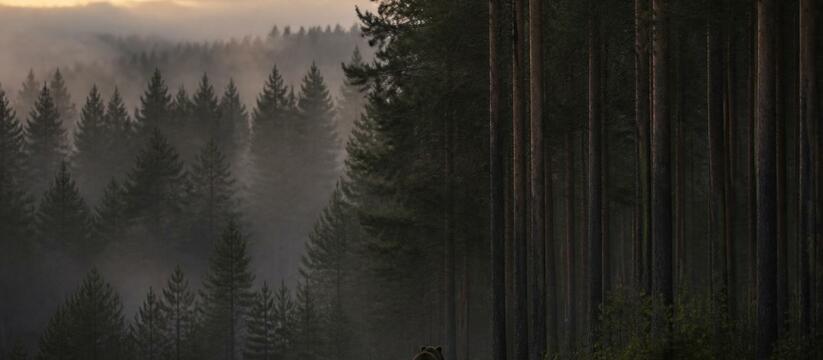 В Междуреченске и Осинниковском округе из-за уч...