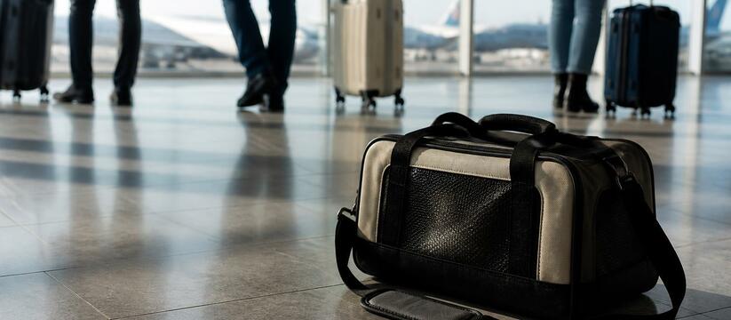 Из Кузбасса за границу уехали 53 собаки и 29 кошек: куда и зачем Кузбассовцы все чаще берут питомцев в заграничн...