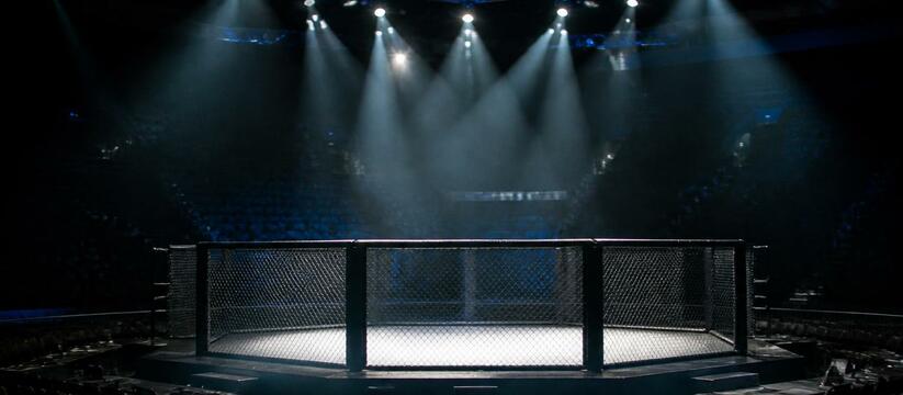 Итоги турнира UFC Noche 4: Сильва задушил Дельг...