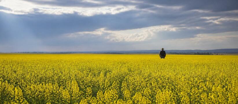 В Кузбассе Россельхознадзор выявил недостоверно...