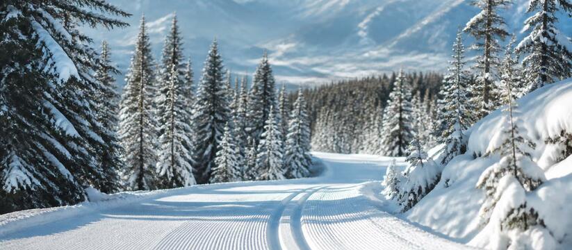 FIS предоставила нейтральный статус 19 российск...