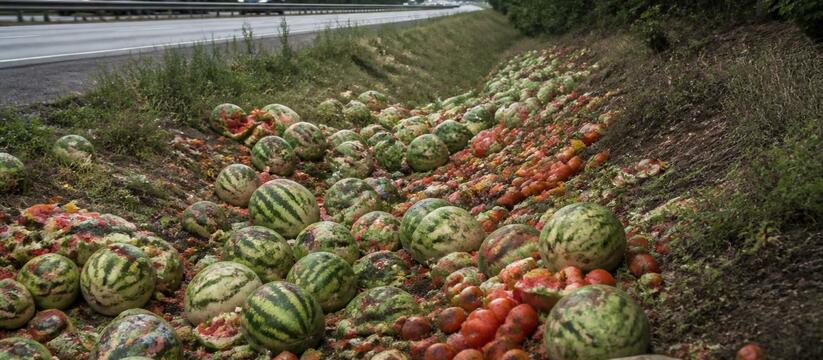 У трассы в Кузбассе выбросили горы арбузов и томатов Жители Кузбасса обнаружили у трассы горы выброш...