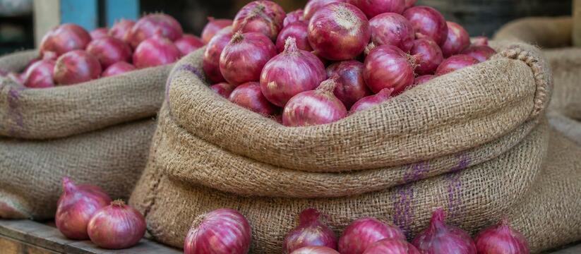 Импорт репчатого лука из Казахстана в Кузбасс в...