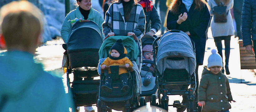 В Кузбассе многодетные семьи смогут получить ми...