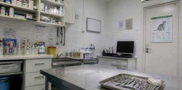 «Газовая камера» и тиски: что нашли в службе от...
