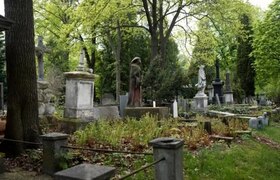 В Кузбассе раскрыли изнасилование и убийство на...