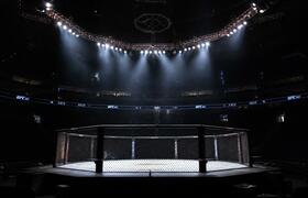 Царукян нокаутировал Руффи в соглавном бою UFC 331