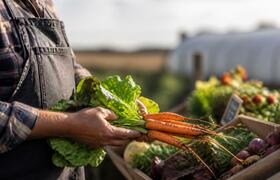 Кузбасские фермеры не идут в госзакупки: главна...
