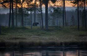В Новокузнецке ввели режим повышенной готовност...