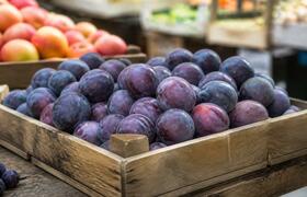 Киргизская слива добралась до кузбасских прилавков
