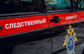 В Кузбассе водитель грузовика погиб от удара то...