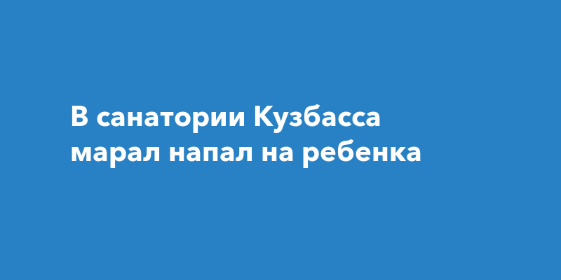 В санатории Кузбасса марал напал на ребенка